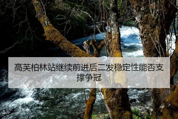 高芙柏林站继续前进后二发稳定性能否支撑争冠