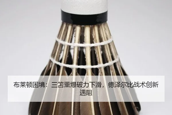 bu-lai-dun-kun-jing-san-shan-xun-bao-po-li-xia-hua-de-ze-er-bi-zhan-shu-chuang-xin-yu-zu-2-471.jpg