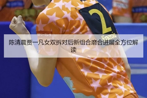 陈清晨贾一凡女双拆对后新组合磨合进展全方位解读