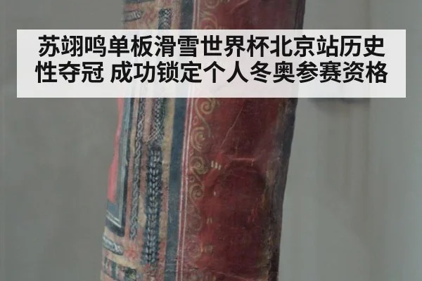苏翊鸣单板滑雪世界杯北京站历史性夺冠 成功锁定个人冬奥参赛资格